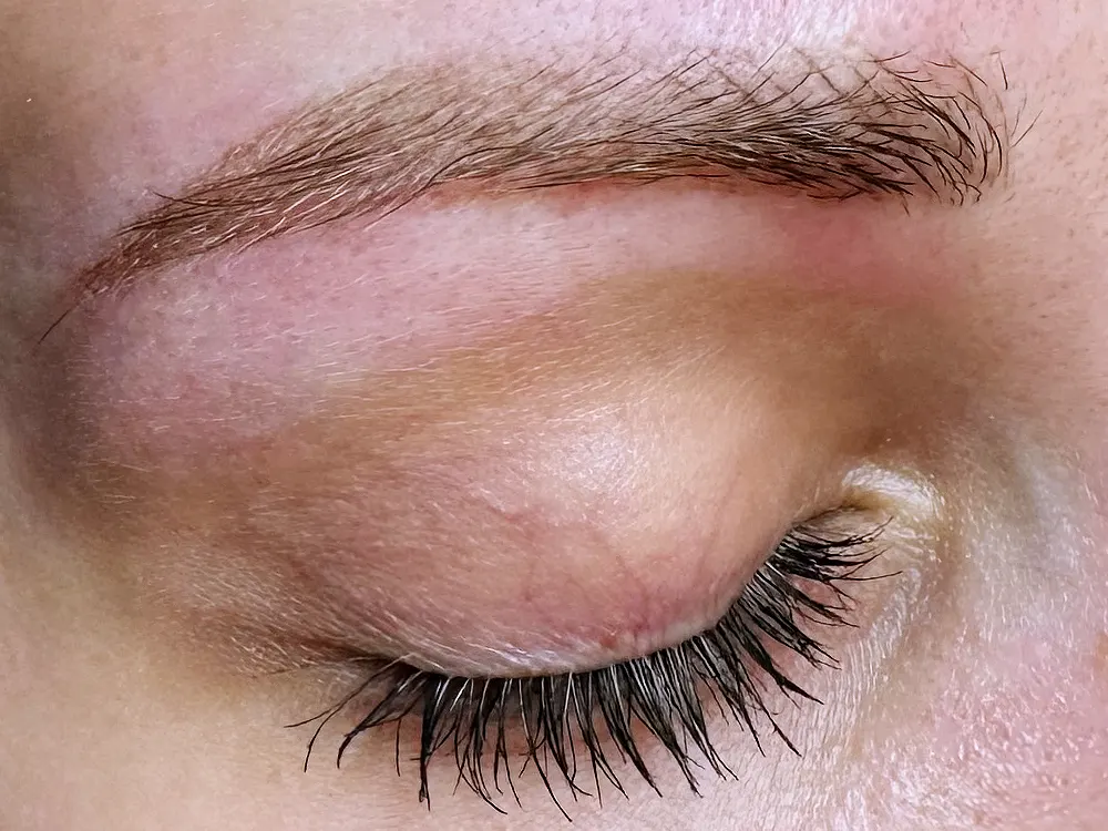 Hibrid szemöldök tetoválás, szálas és púderes technika kombinációja természetes hatással